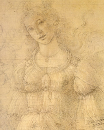 Botticelli Drawing